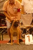  - Lisa gagne la classe puppy à l' Européan Dog Show 